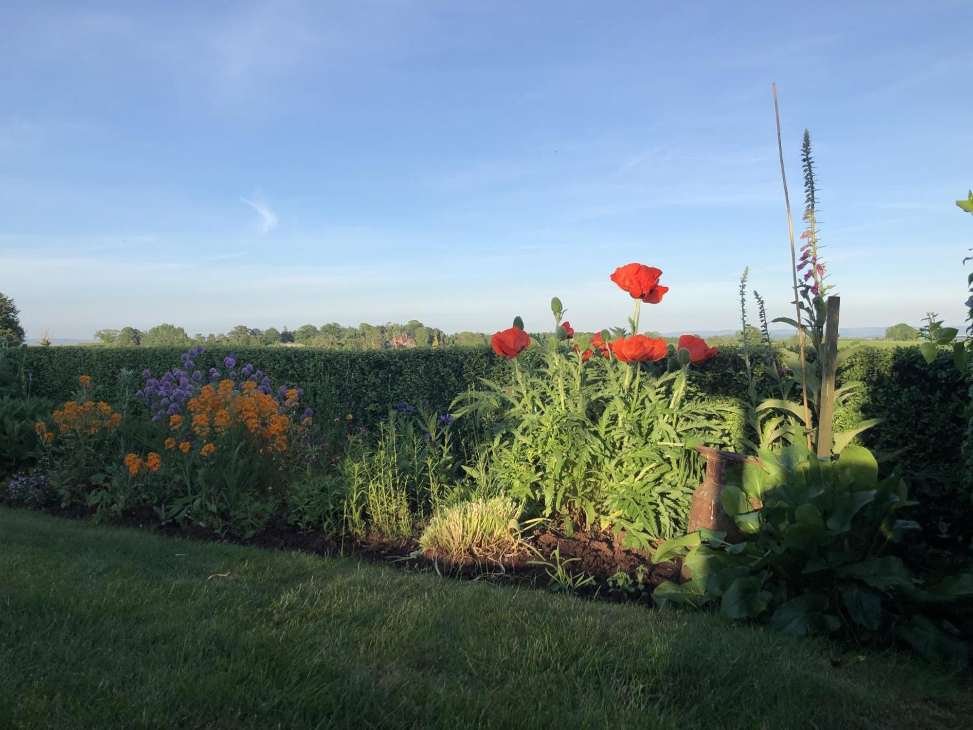 Newent Betula Views Studio מראה חיצוני תמונה