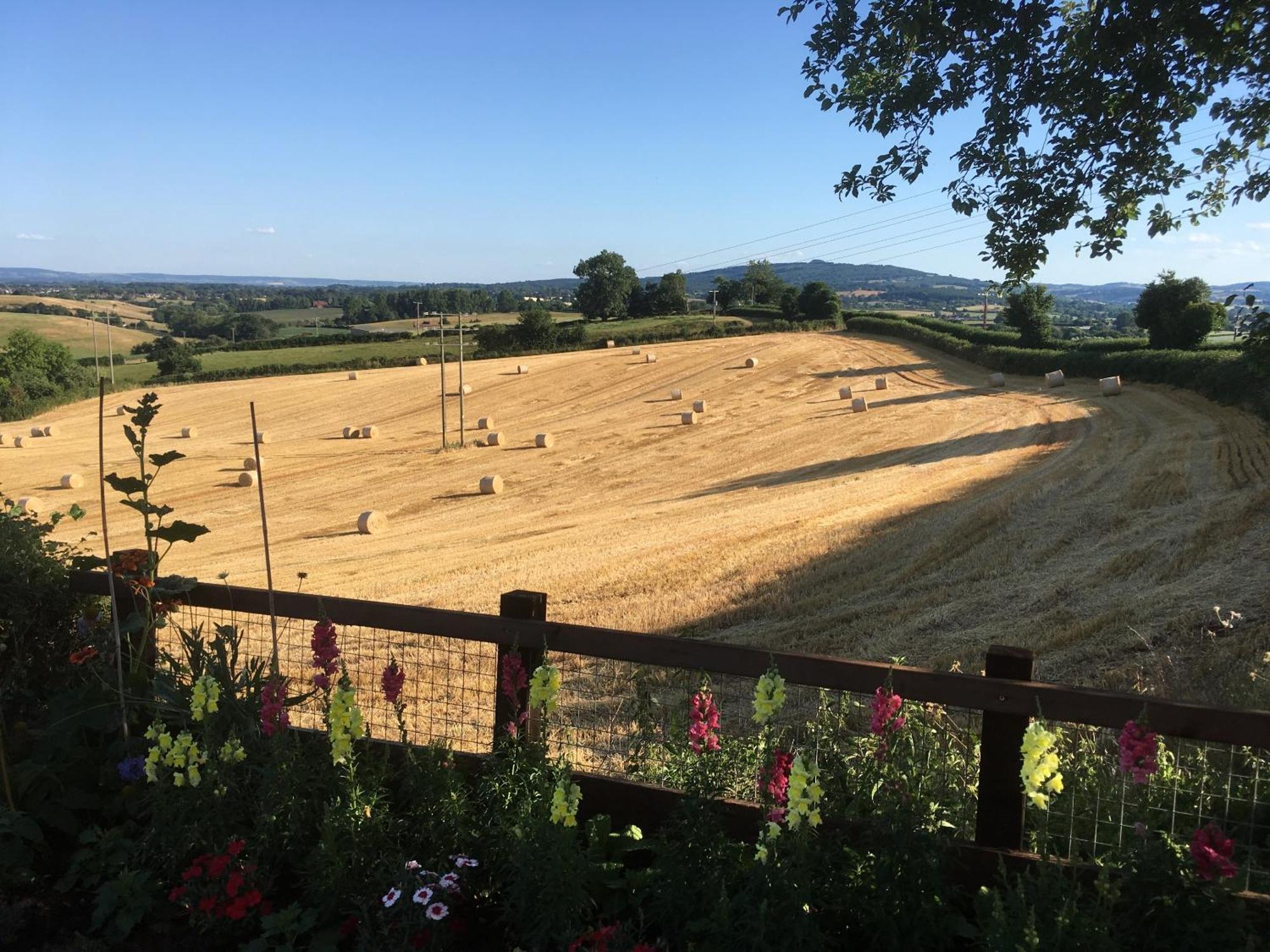 Newent Betula Views Studio מראה חיצוני תמונה