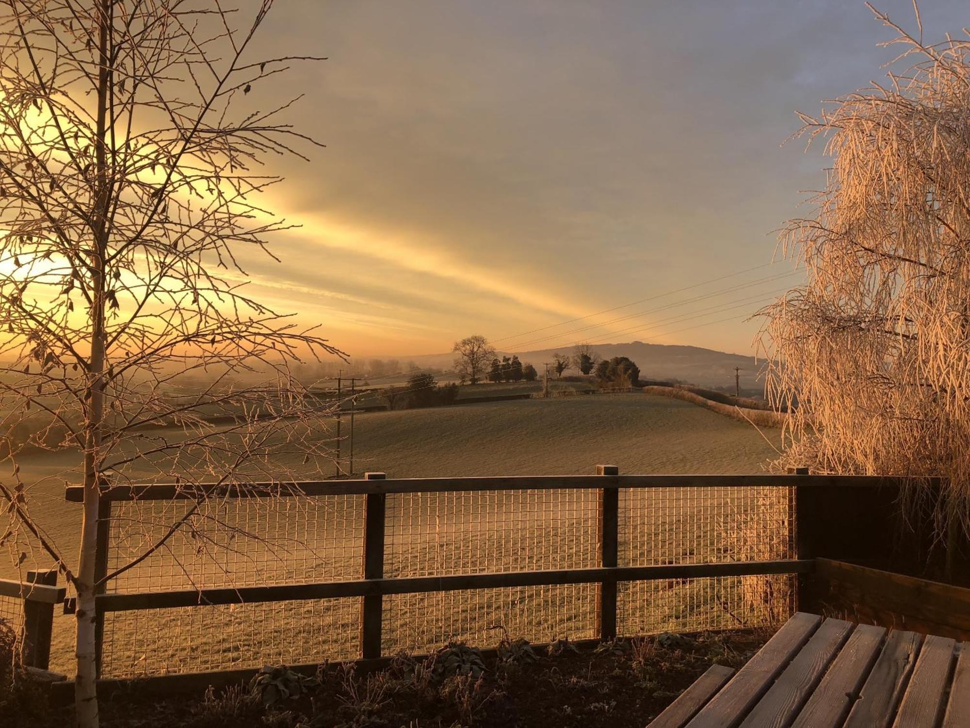 Newent Betula Views Studio מראה חיצוני תמונה