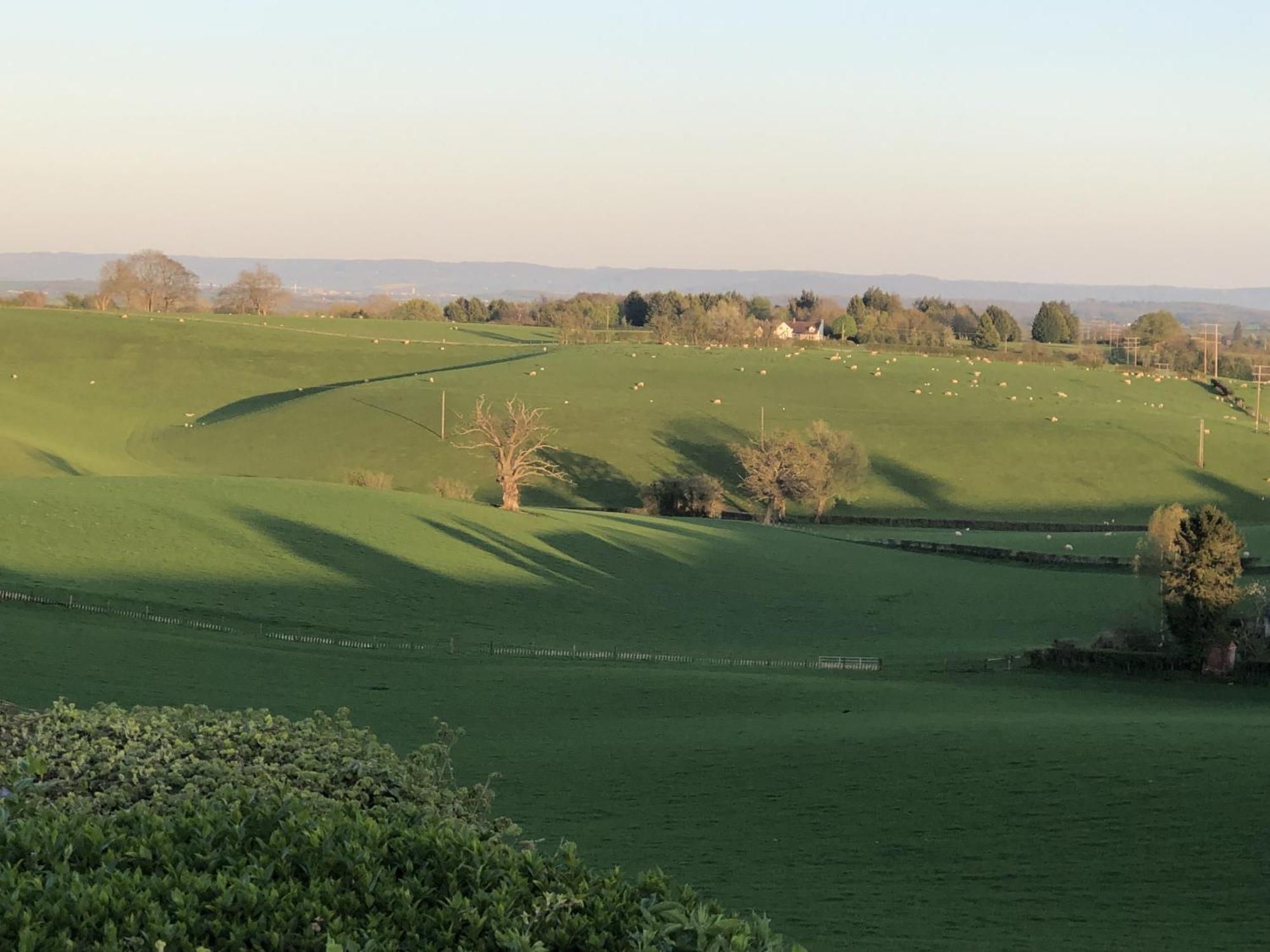 Newent Betula Views Studio מראה חיצוני תמונה