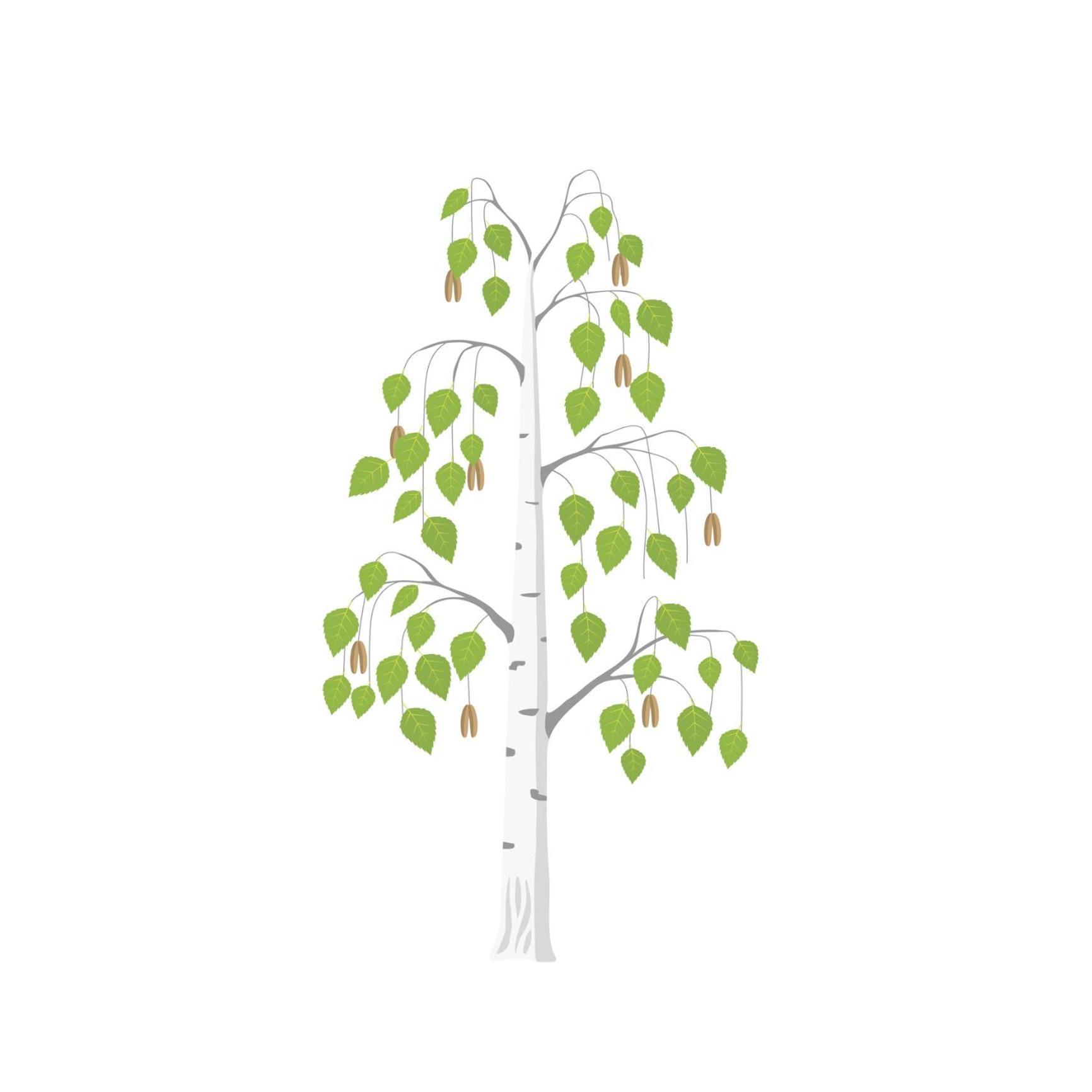 Newent Betula Views Studio מראה חיצוני תמונה