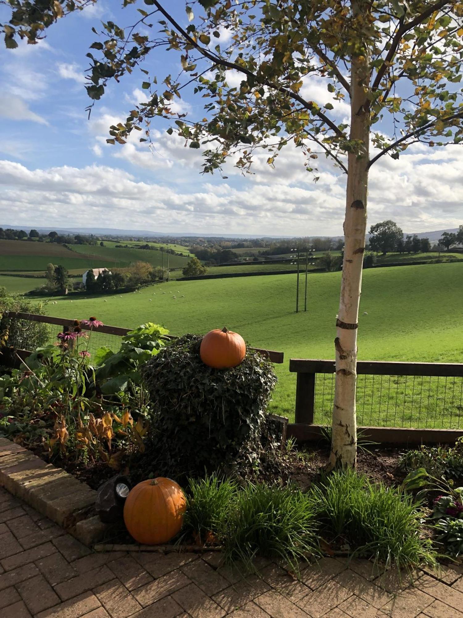 Newent Betula Views Studio מראה חיצוני תמונה